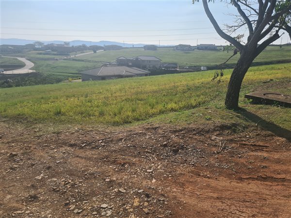 1569 m² Land available in Bishopstowe