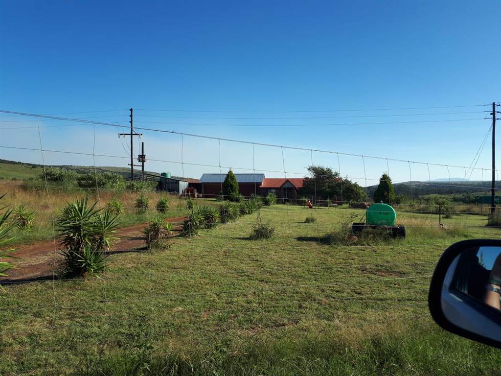 5 ha Smallholding in Lydenburg photo number 5