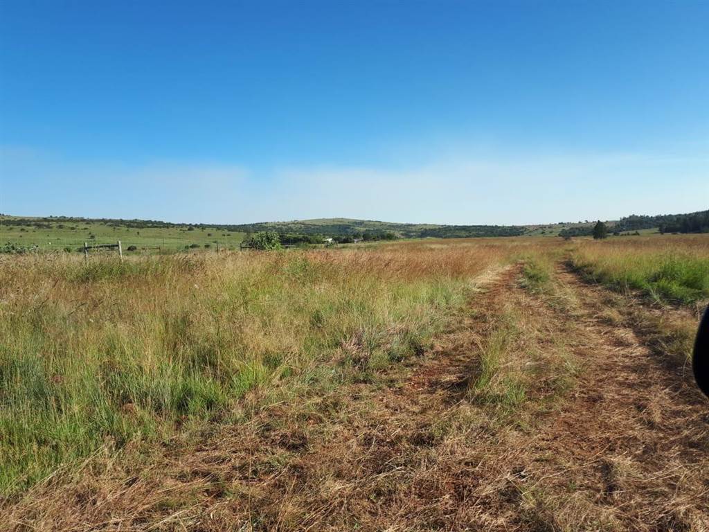 5 ha Smallholding in Lydenburg photo number 6