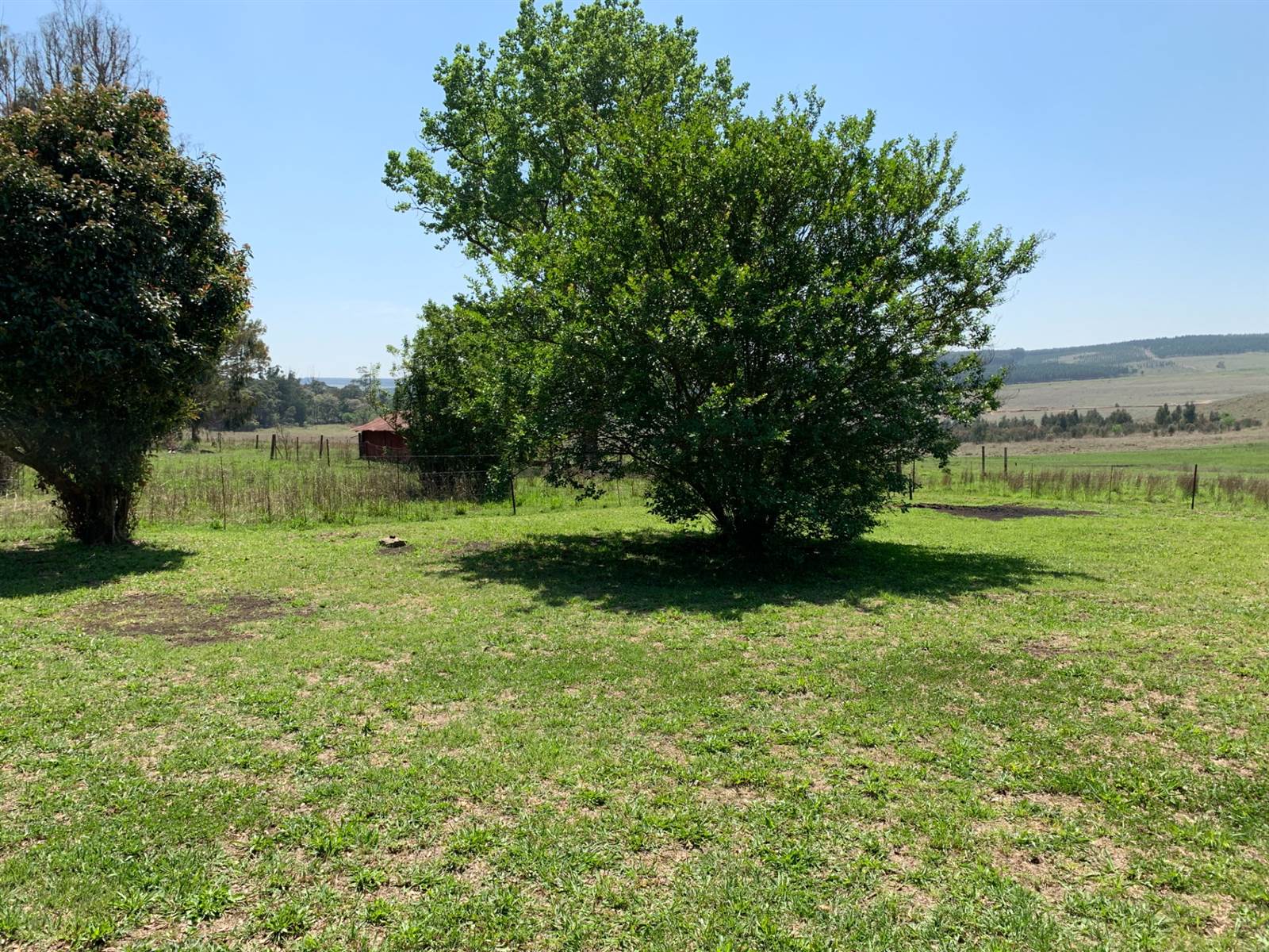 8.5 ha Farm in Piet Retief photo number 13