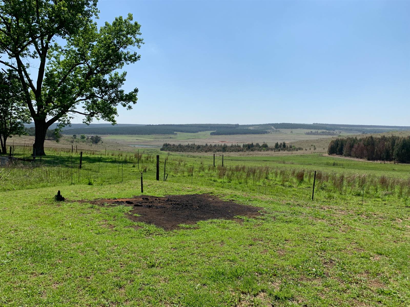 8.5 ha Farm in Piet Retief photo number 16