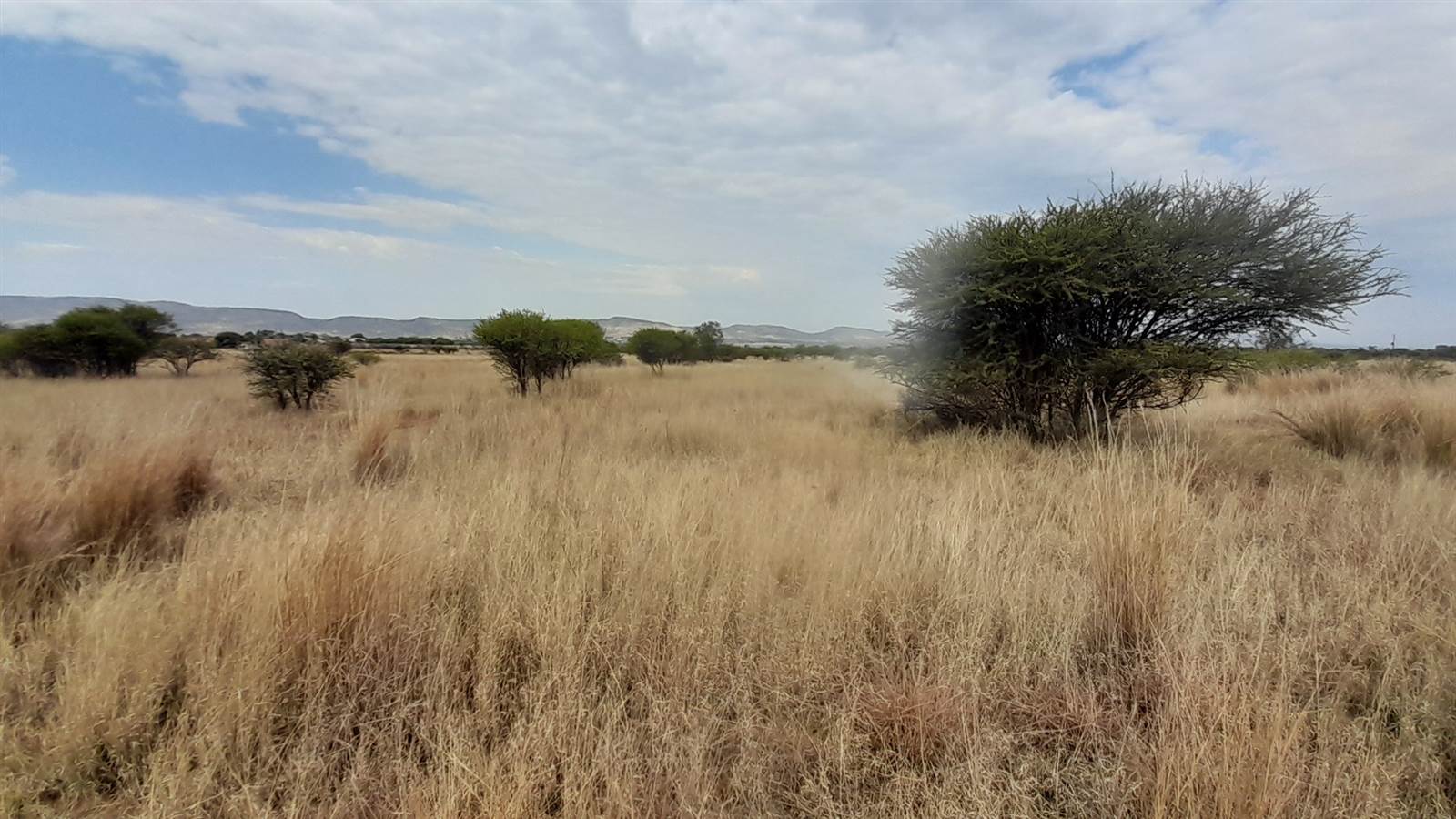 5.8 ha Land available in Rietfontein AH photo number 3