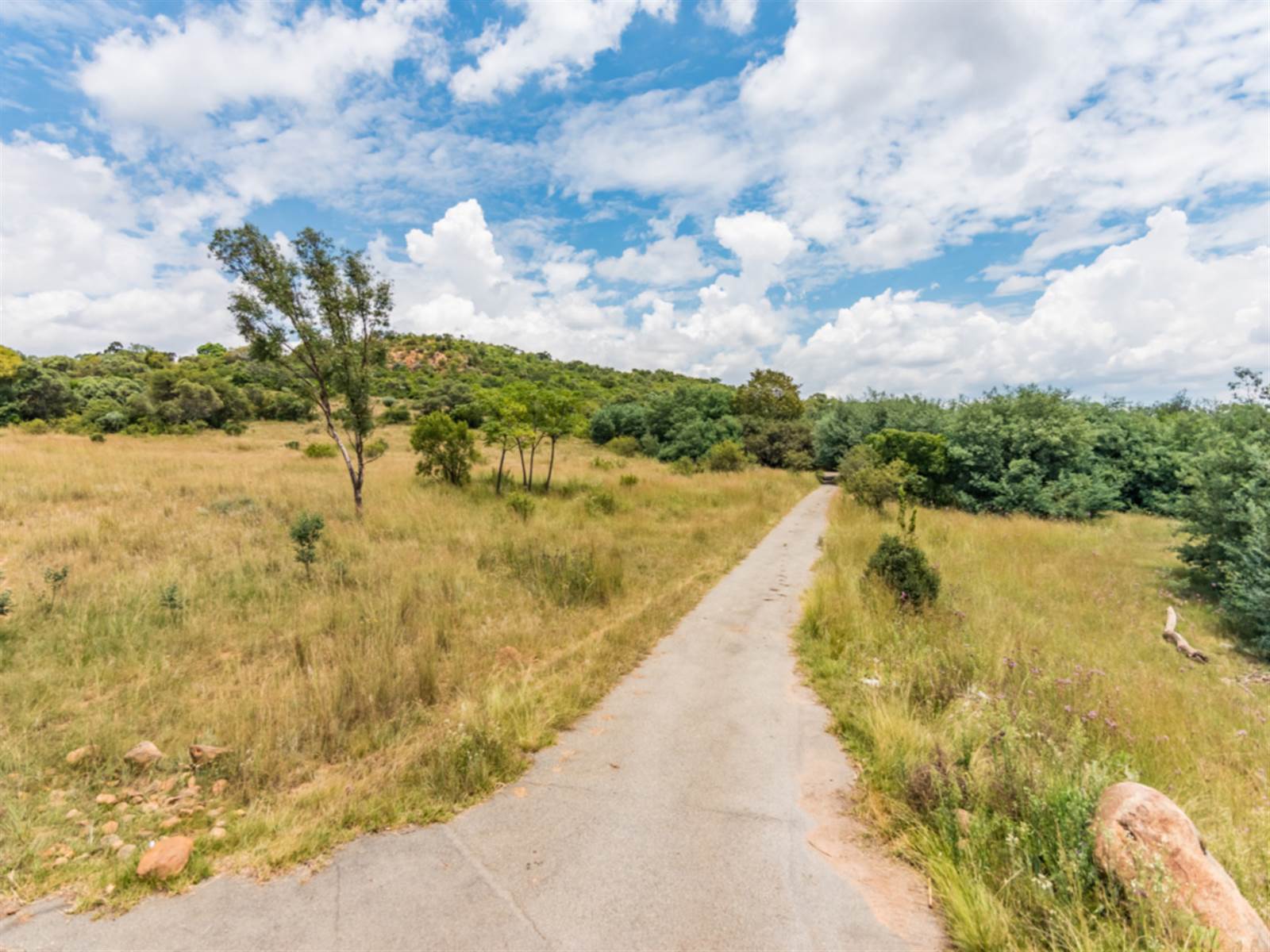 10 ha Land available in Rietfontein AH photo number 1