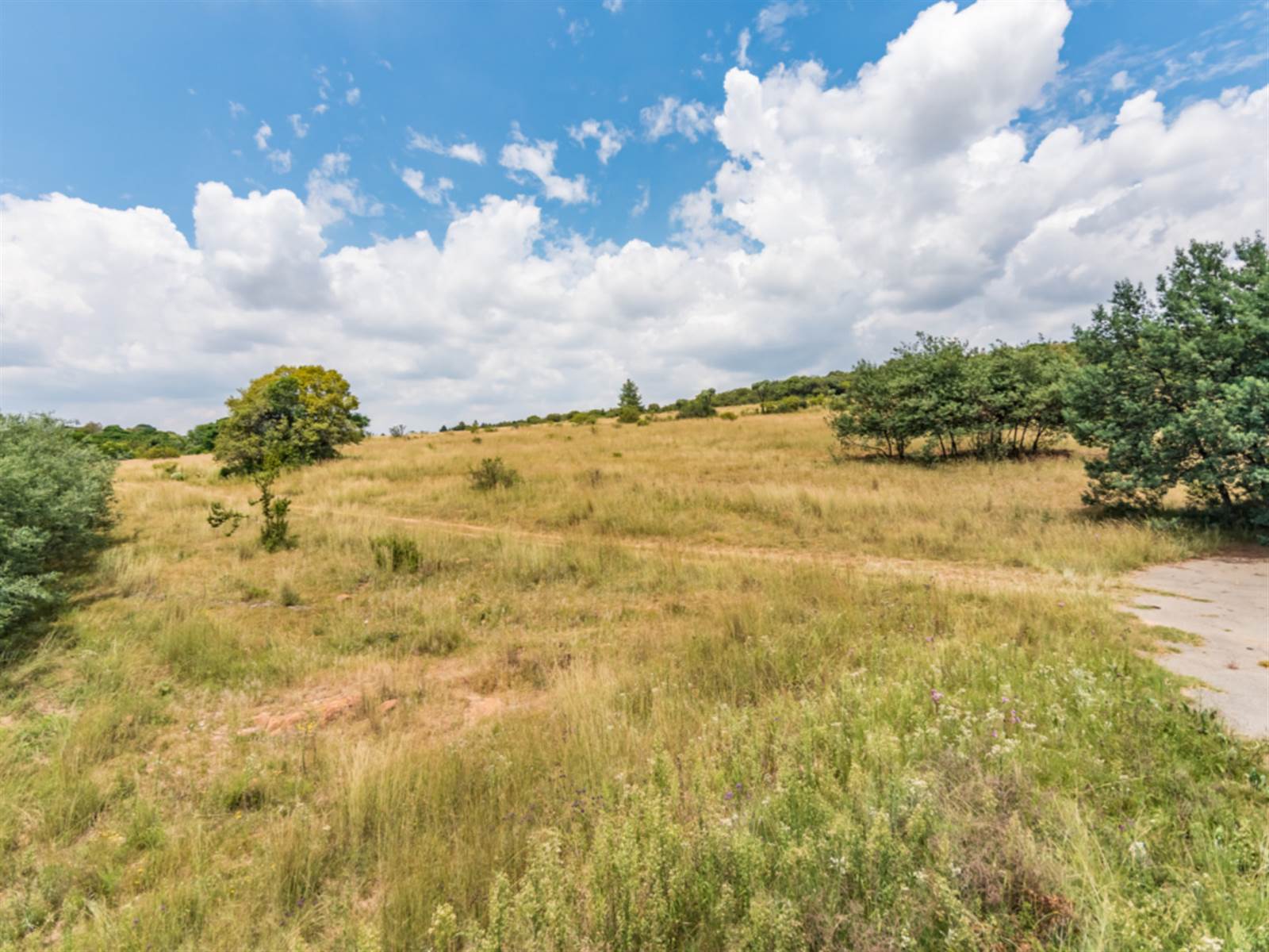 10 ha Land available in Rietfontein AH photo number 3