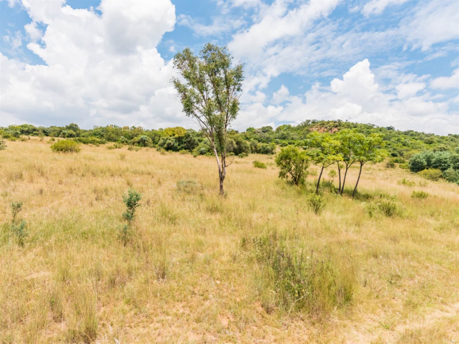 10 ha Land available in Rietfontein AH photo number 4