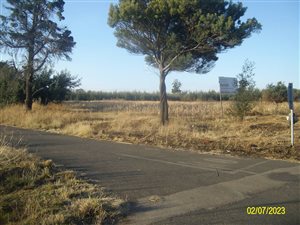 3.6 ha Land available in Homestead Apple Orchards