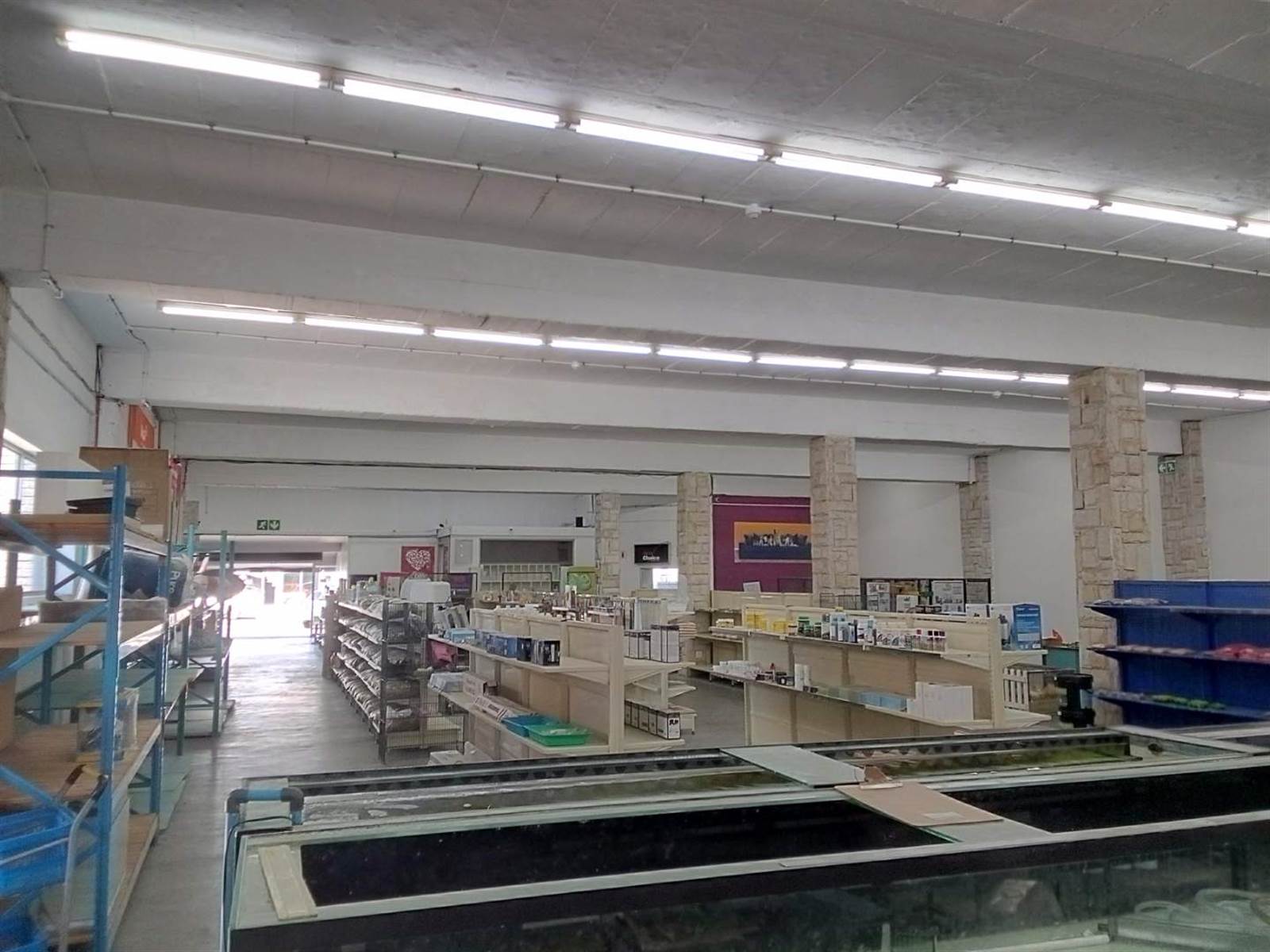 730  m² Retail Space in Diep River photo number 2