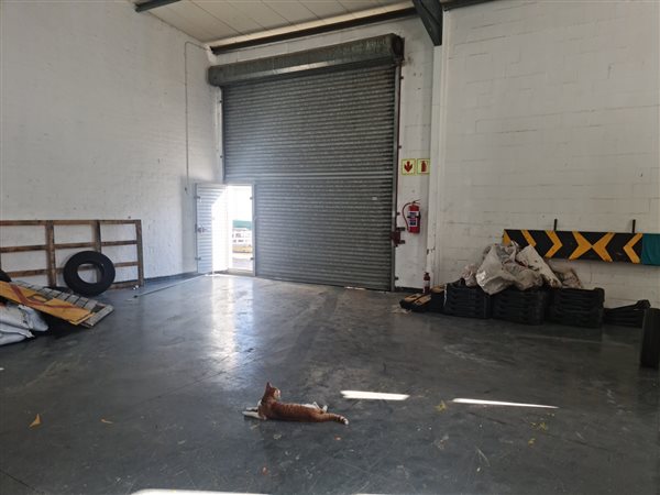 309  m² Industrial space