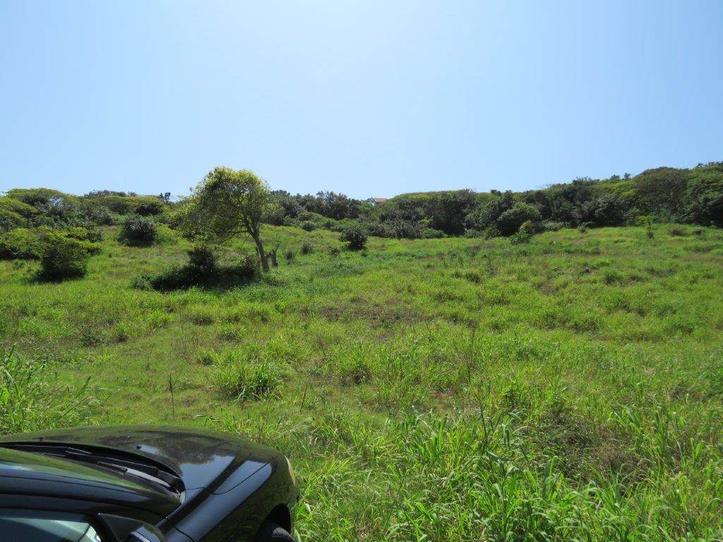 3373 m² Land available in Desainagar photo number 7