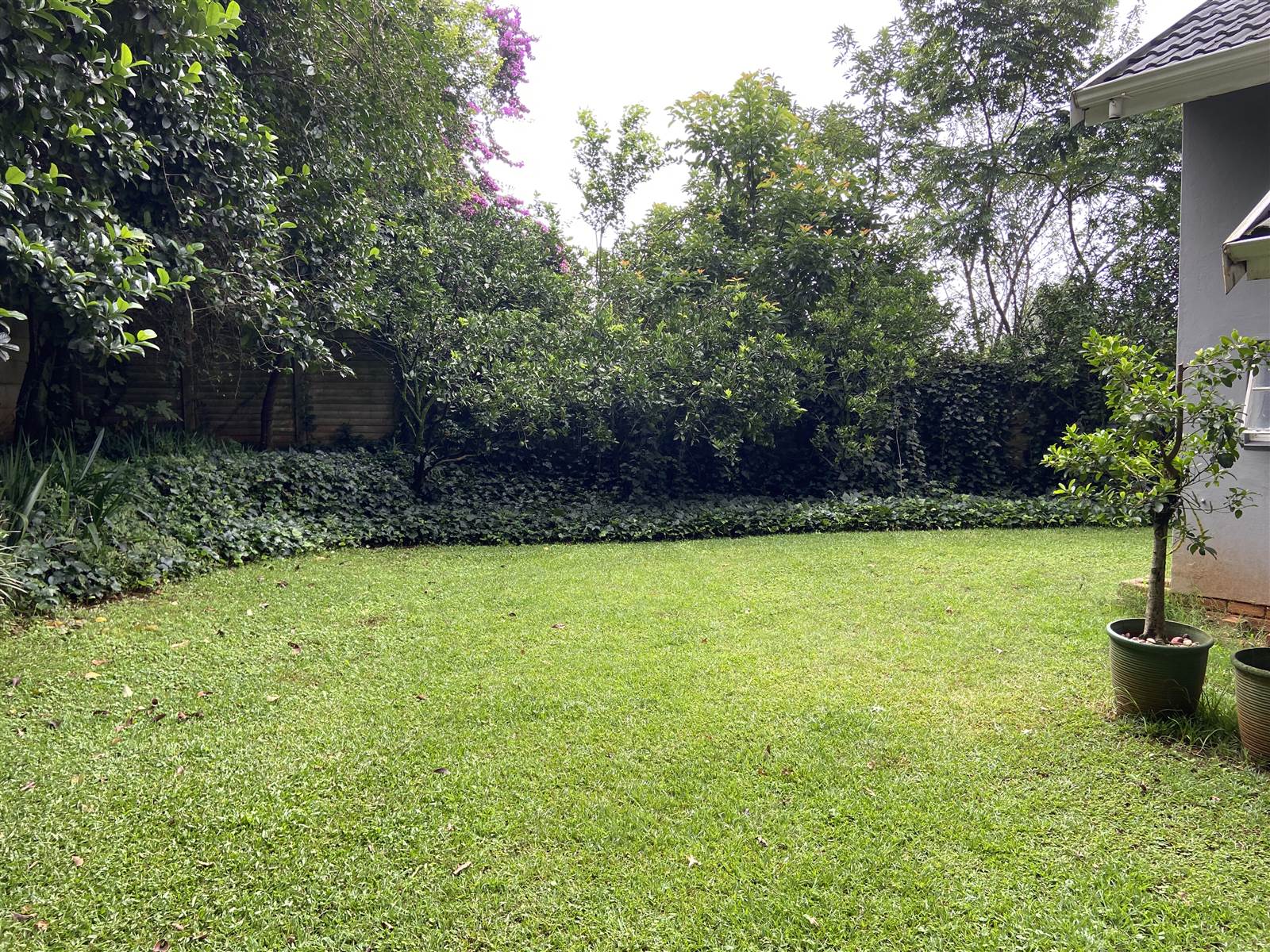 1802 m² Land available in Oak Park photo number 5