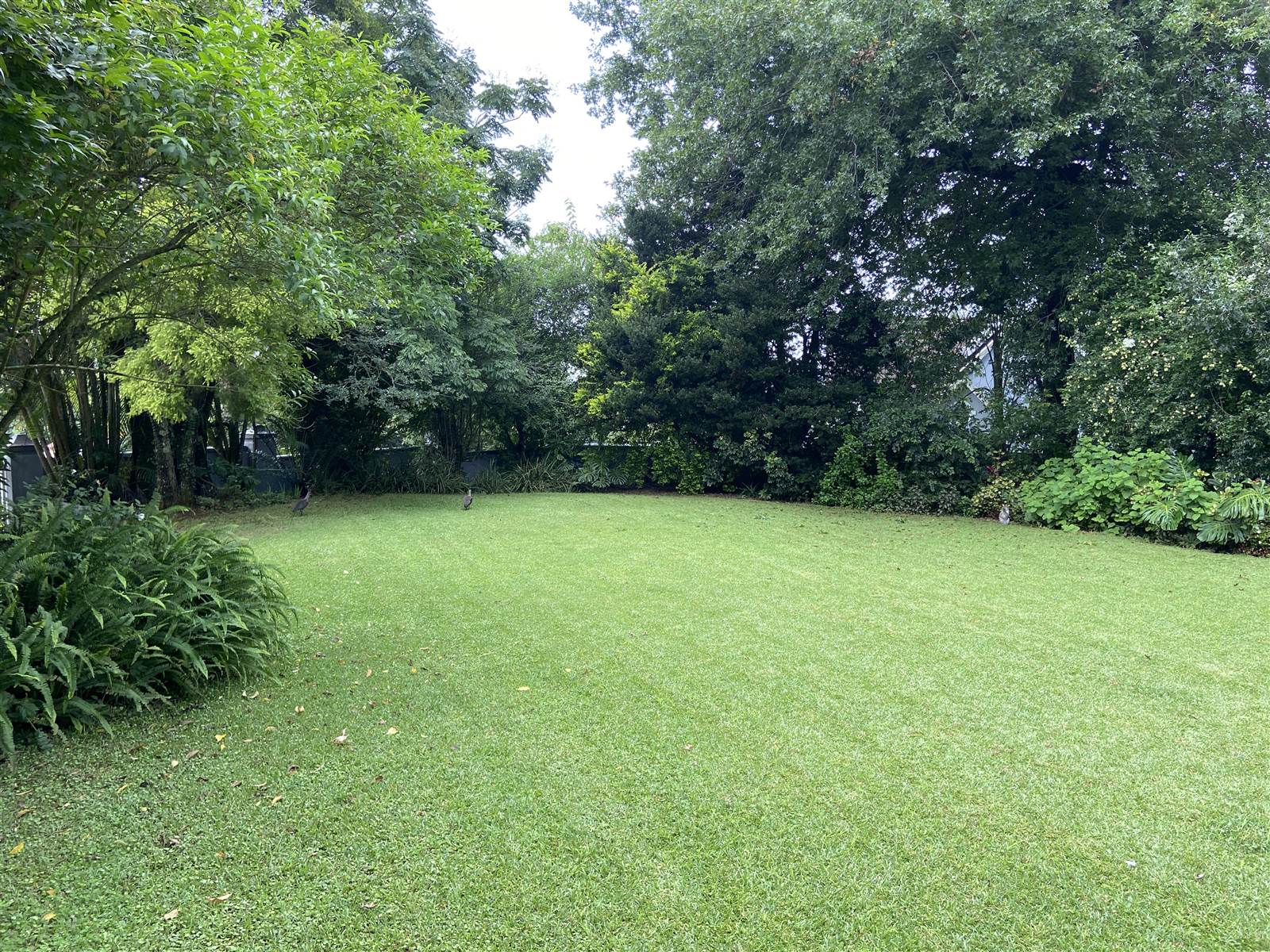 1802 m² Land available in Oak Park photo number 8