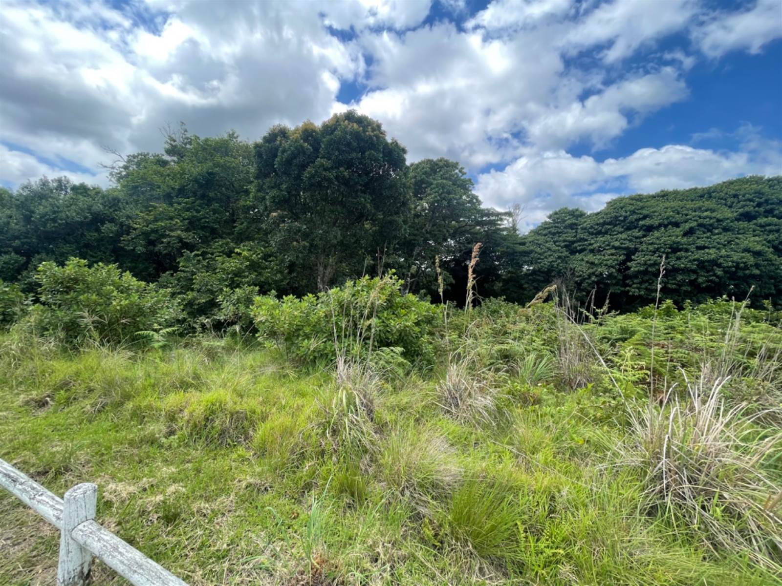 1250 m² Land available in Eshowe photo number 2
