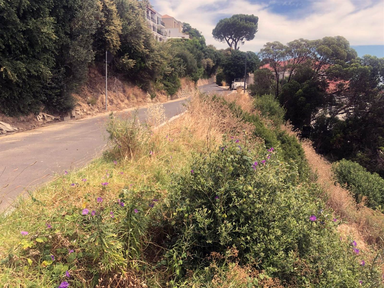 944 m² Land available in Hout Bay and surrounds photo number 12