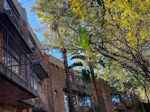 3 Bed Apartment in Val de Grace