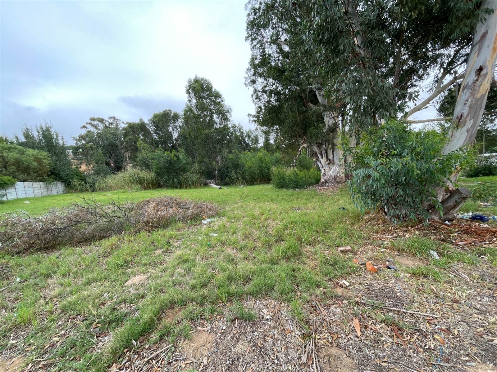 1723 m² Land available in Malmesbury photo number 5