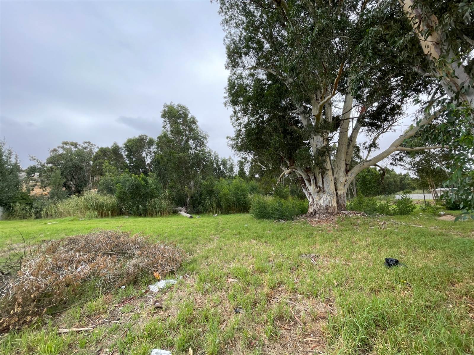 1723 m² Land available in Malmesbury photo number 7