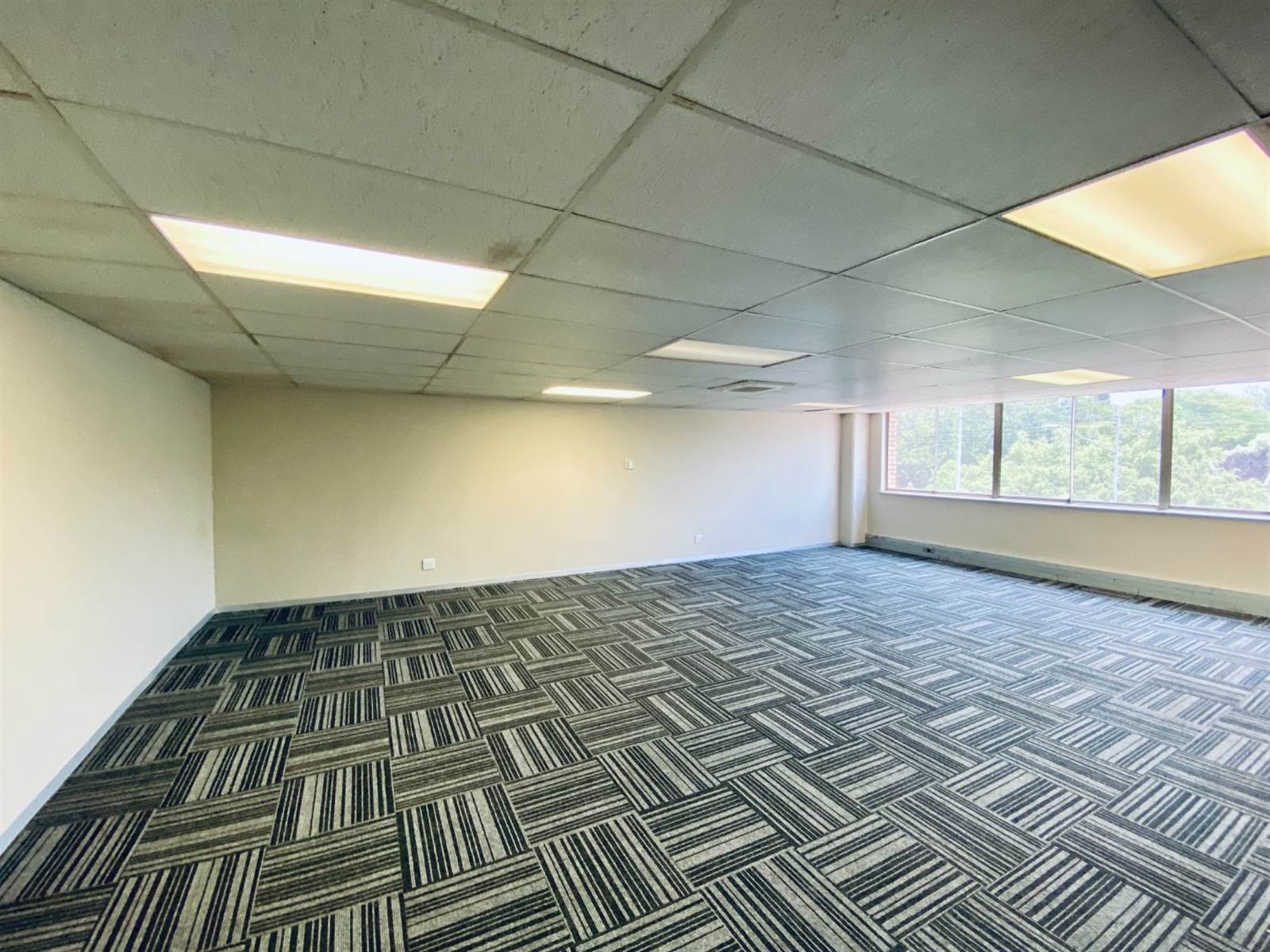 2430  m² Office Space in Lynnwood photo number 15