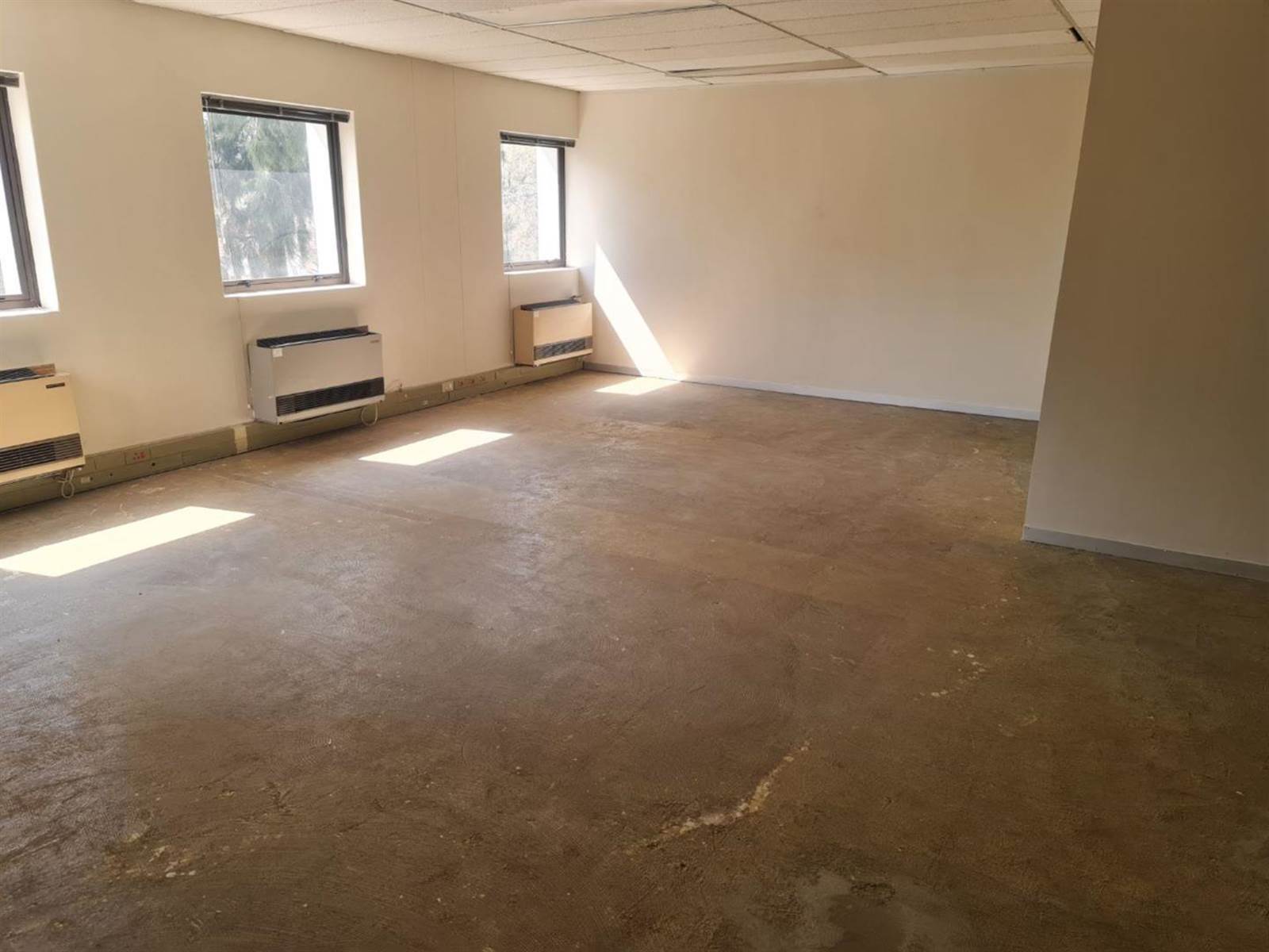 239.18  m² Commercial space in Rivonia photo number 19