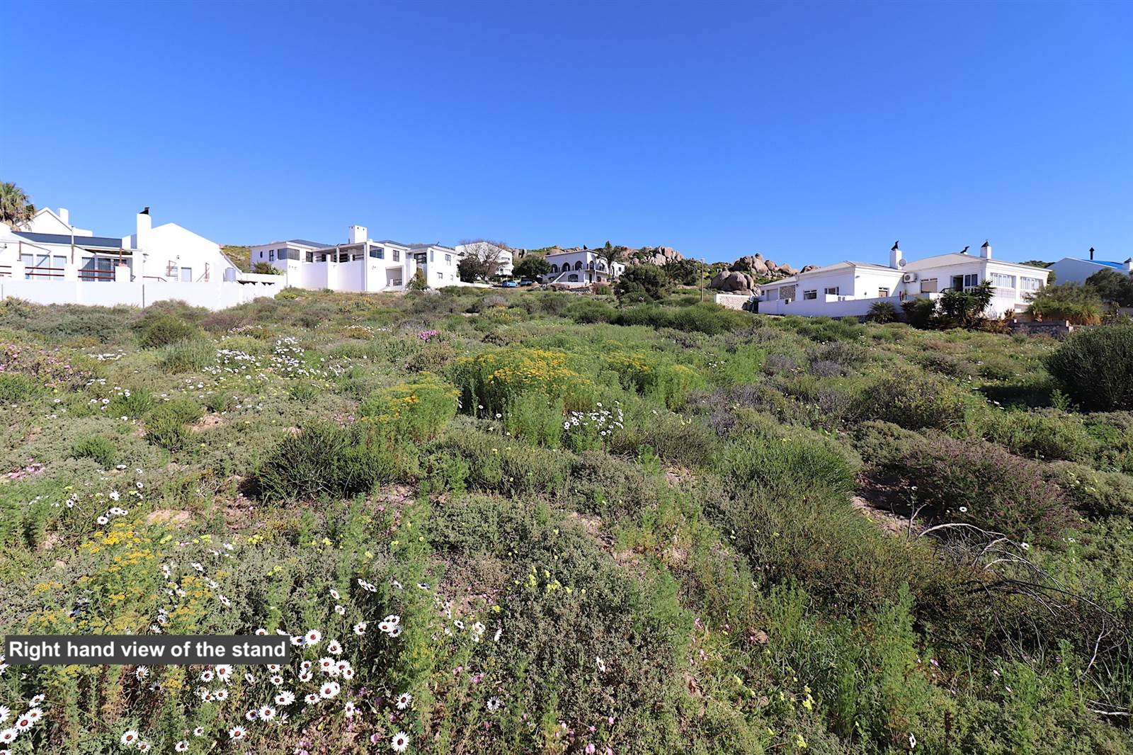 1101 m² Land available in Britannica Heights photo number 6