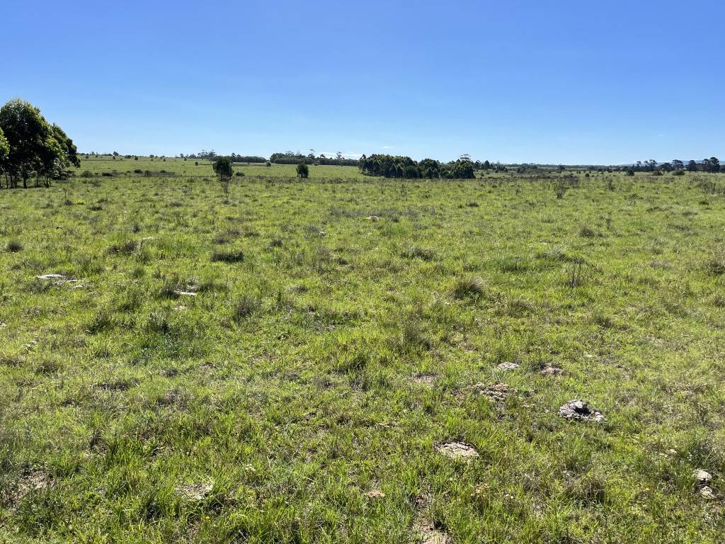 280 ha Farm in Bathurst and Surrounds photo number 13