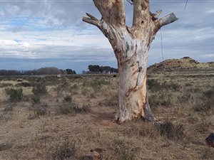 2775 m² Land available in Northern Cape