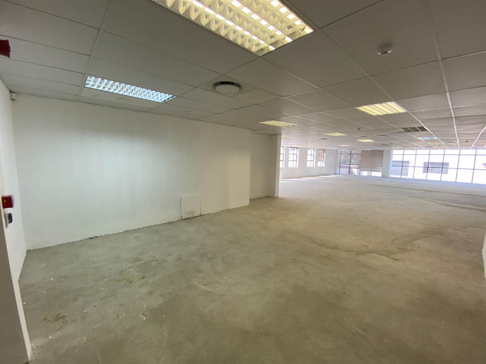 645  m² Office Space in Brooklyn photo number 3
