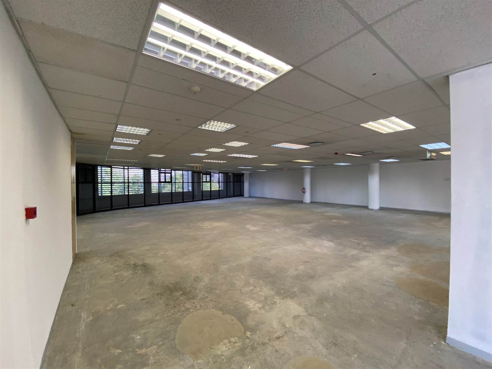 645  m² Office Space in Brooklyn photo number 8