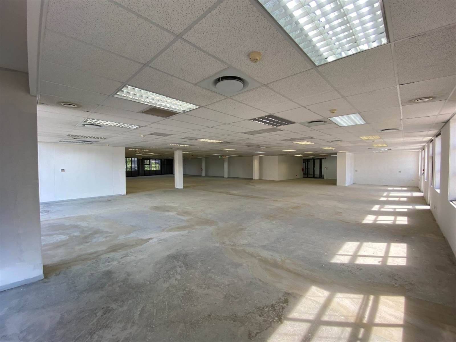 645  m² Office Space in Brooklyn photo number 6