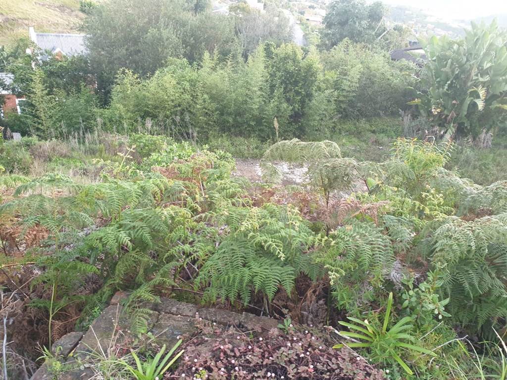 1388 m² Land available in Knysna Heights photo number 3