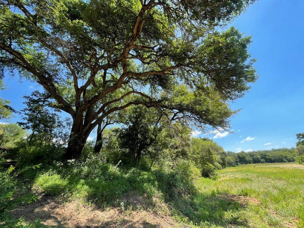 1.3 ha Land available in Raptors View Wildlife Estate photo number 2