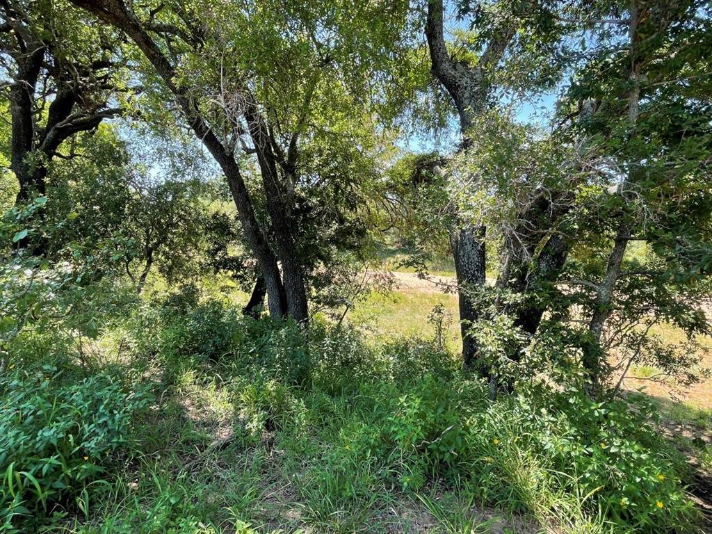 1.3 ha Land available in Raptors View Wildlife Estate photo number 22