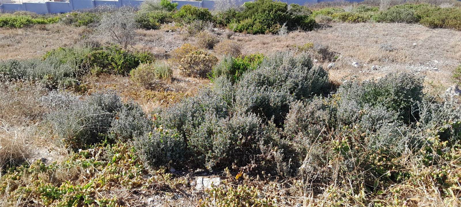 695 m² Land available in Saldanha photo number 3