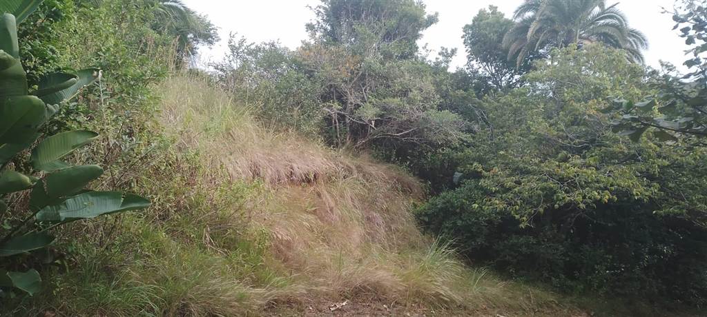 1173 m² Land available in Hibberdene photo number 1