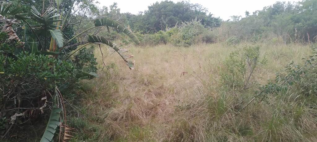 1173 m² Land available in Hibberdene photo number 5