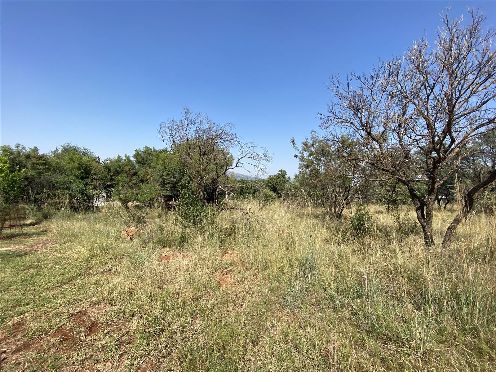 1084 m² Land available in Seasons Lifestyle Estate photo number 6