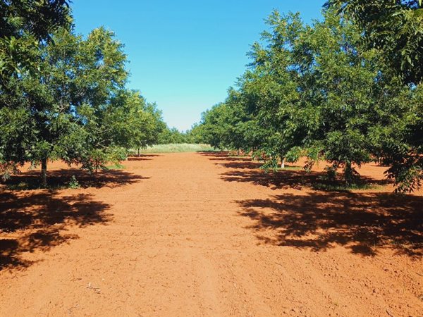 74.3 ha Farm 74.3 ha Farm