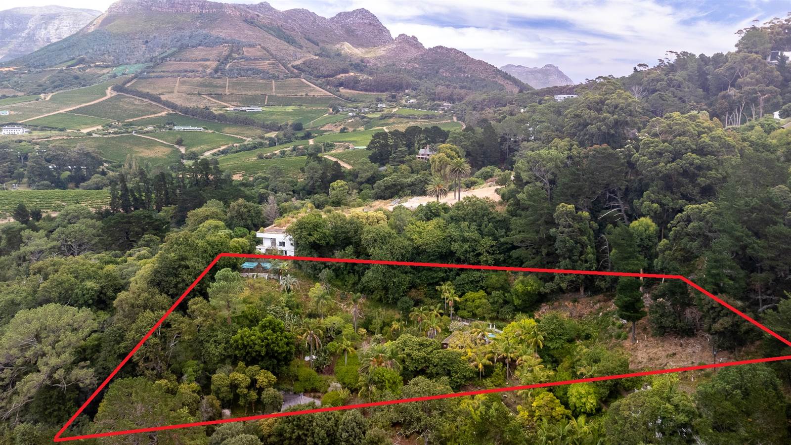 8100 m² Land available in Constantia photo number 1
