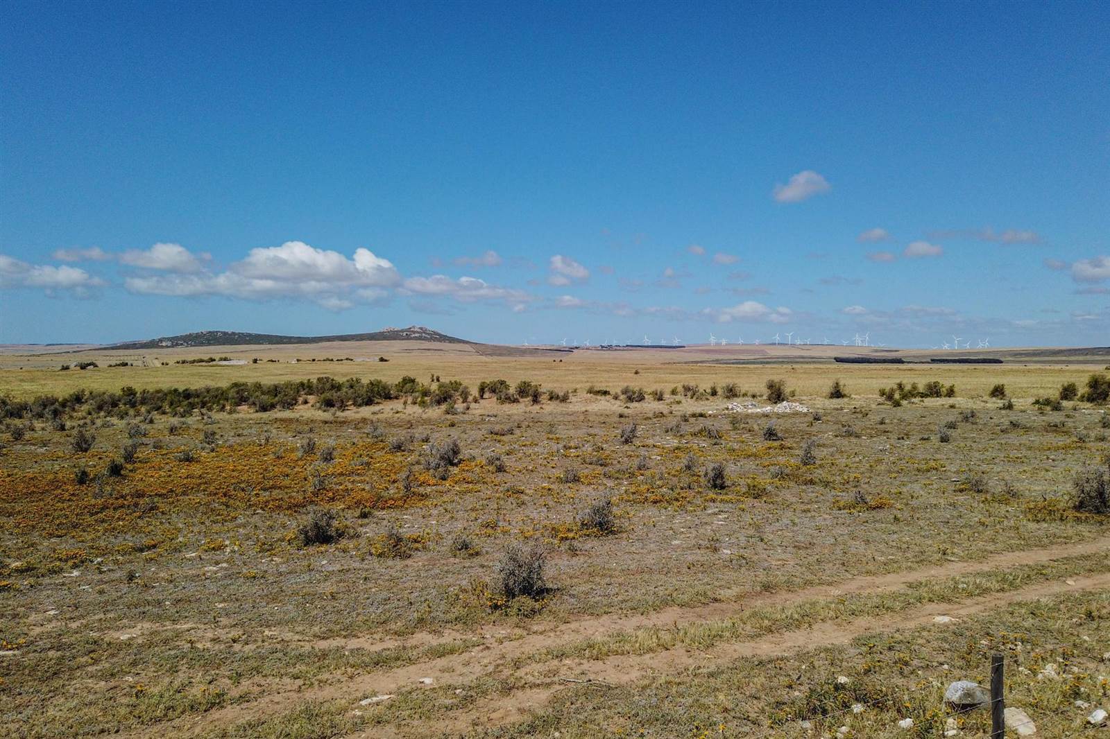280 ha Land available in Paternoster photo number 13