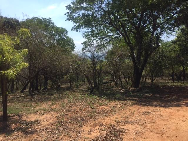 7510 m² Land available in Hazyview photo number 4