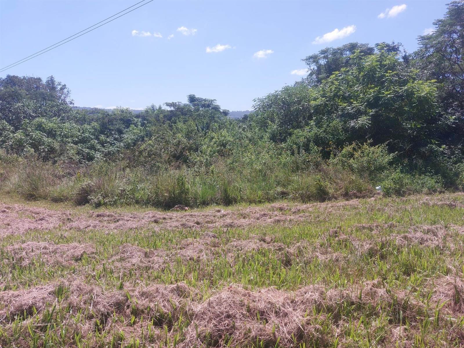 1744 m² Land available in Mariannhill Park photo number 1