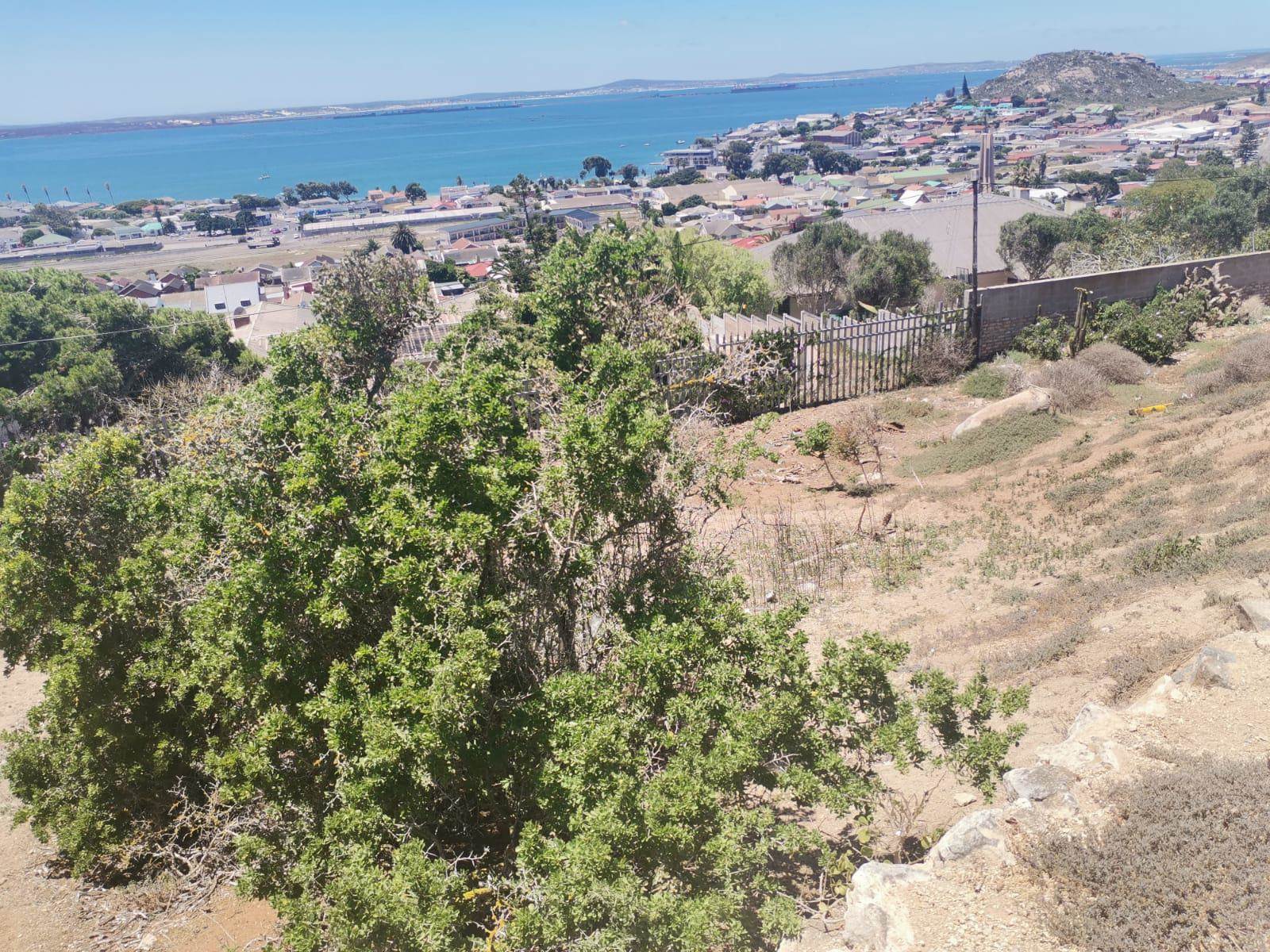 839 m² Land available in Saldanha photo number 6