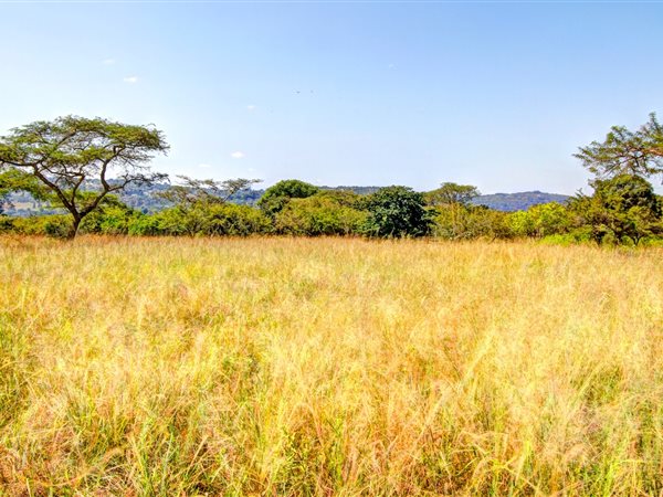 1.4 ha Land available in White River