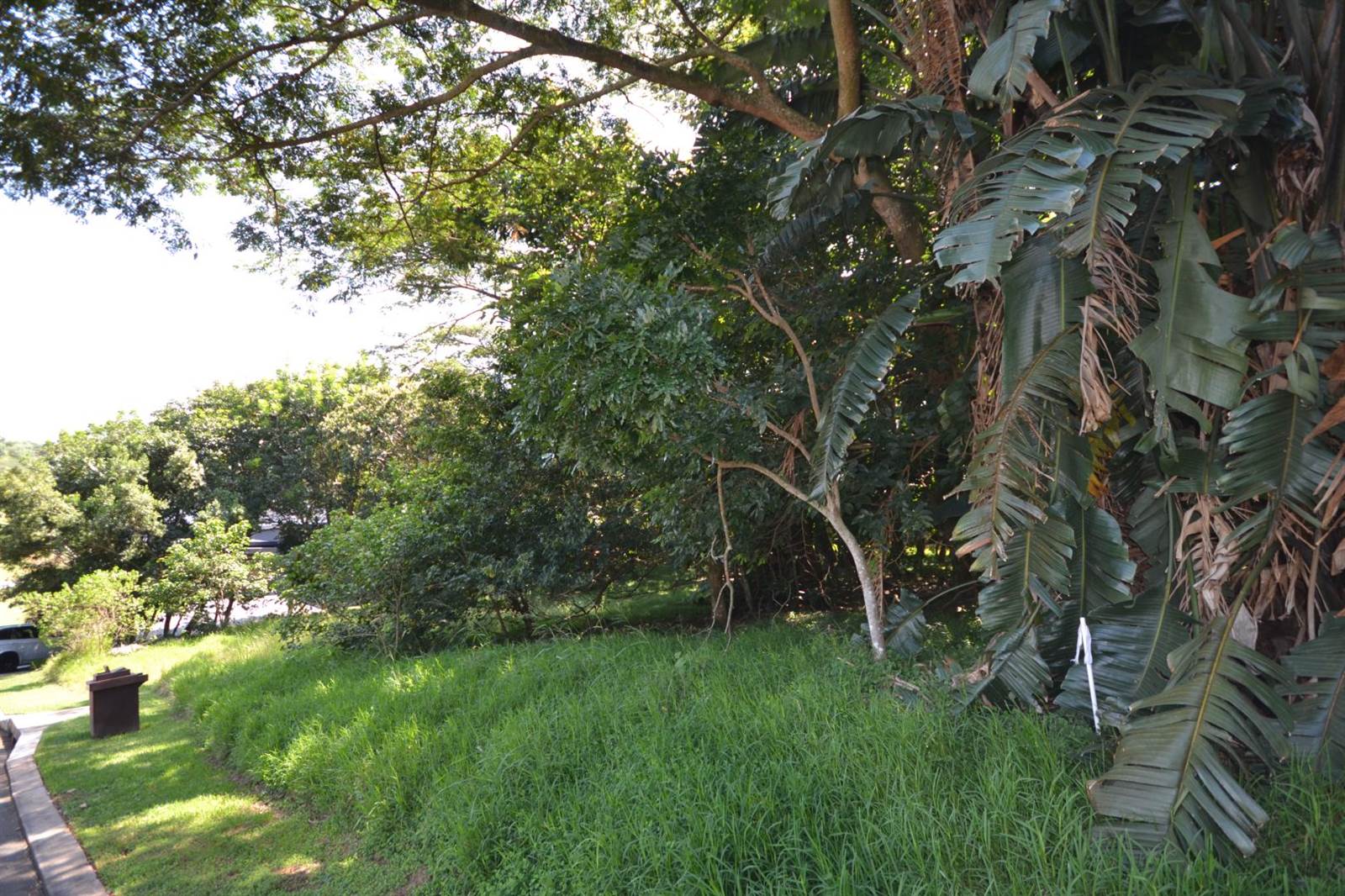 1100 m² Land available in Simbithi Estate photo number 8