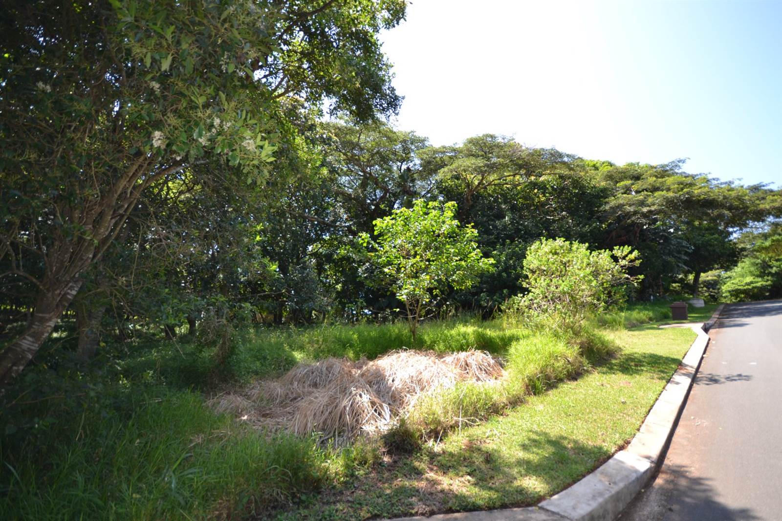 1100 m² Land available in Simbithi Estate photo number 9