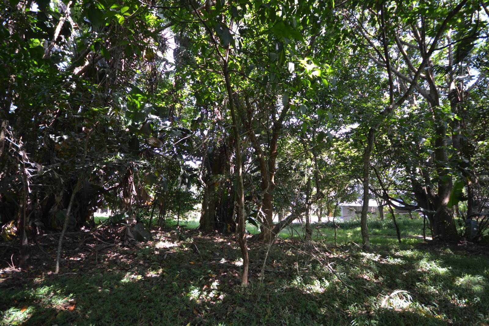 1100 m² Land available in Simbithi Estate photo number 3