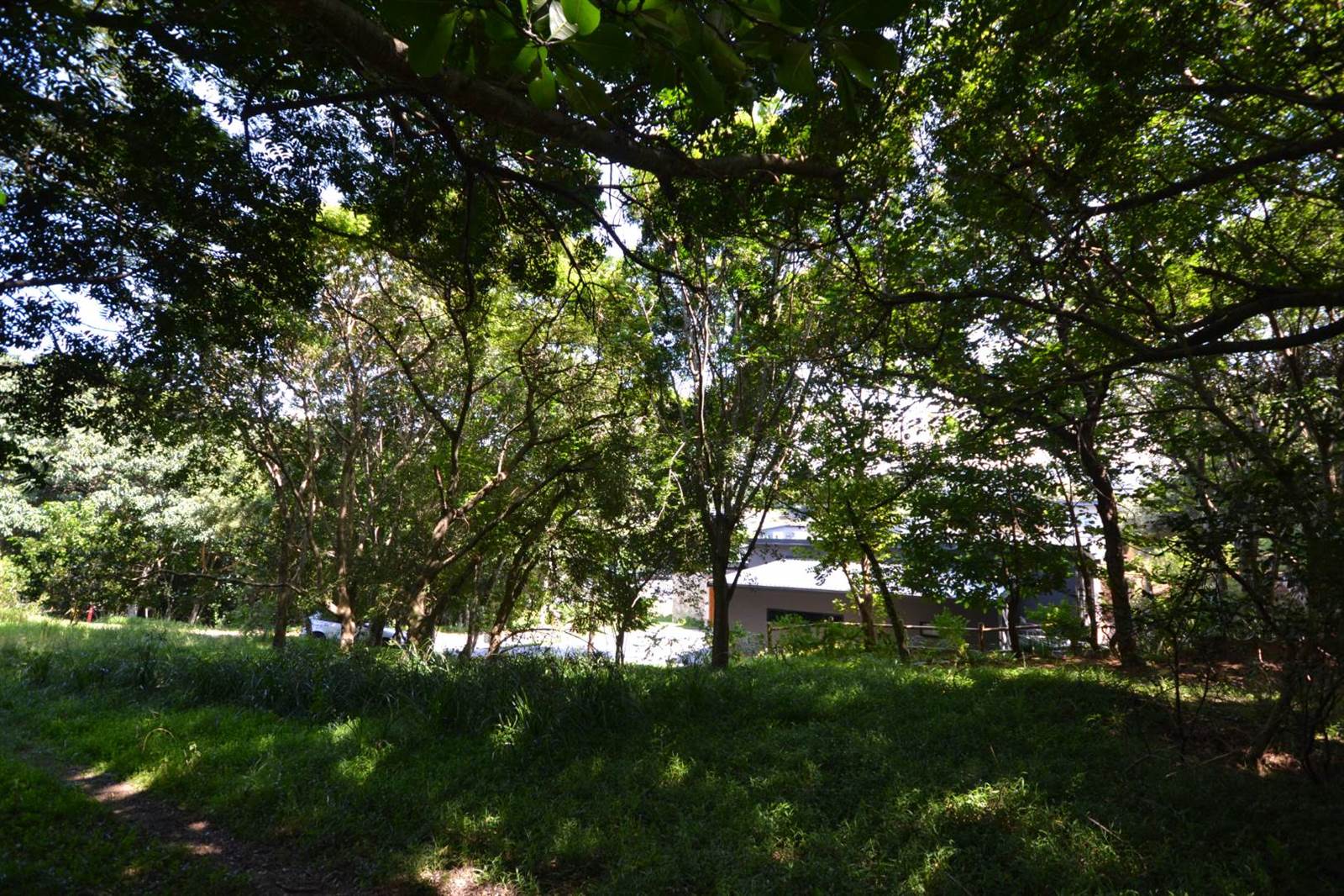 1100 m² Land available in Simbithi Estate photo number 5
