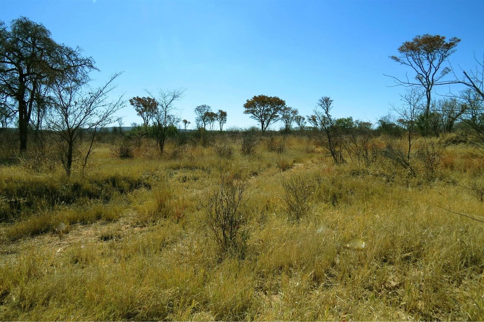 78.9 ha Land available in Modimole (Nylstroom) photo number 10
