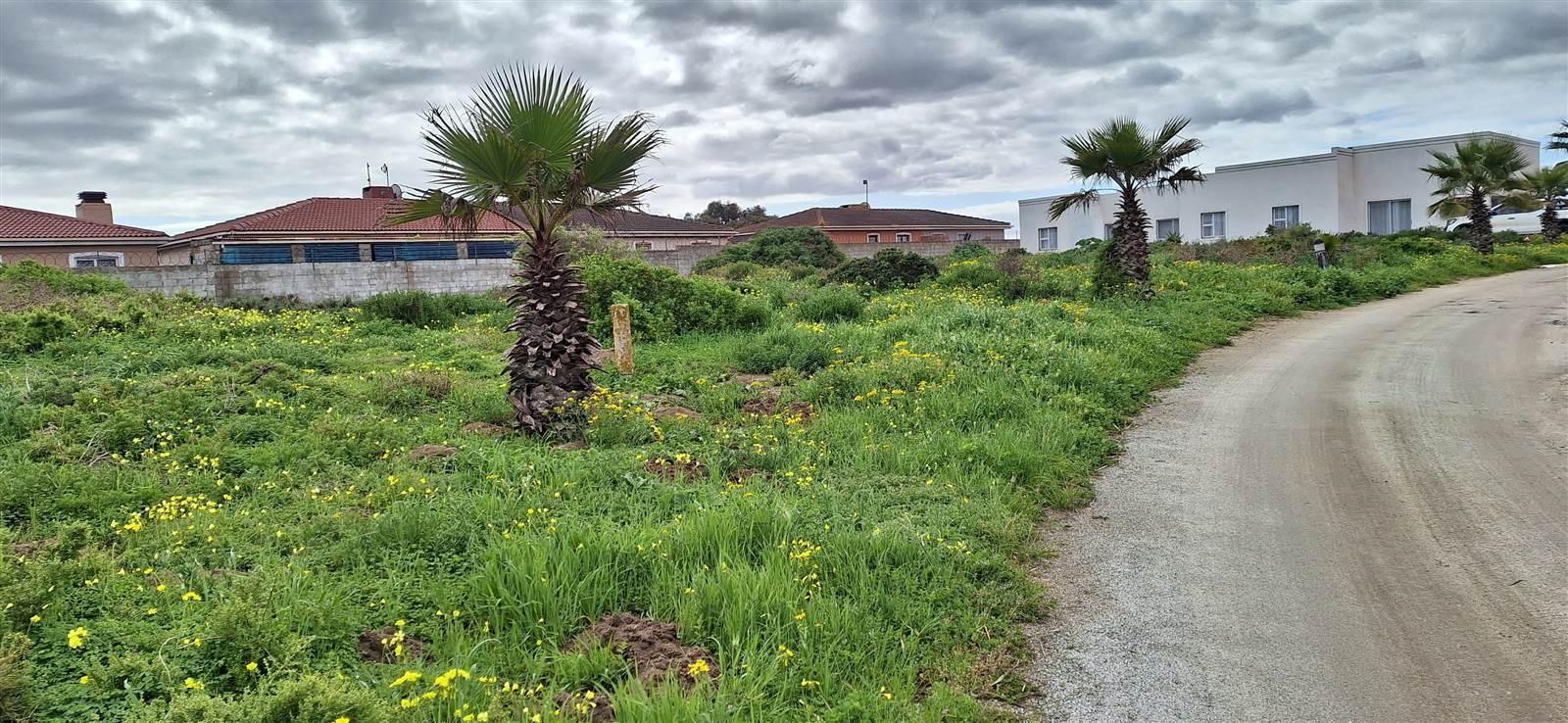 604 m² Land available in Saldanha photo number 5