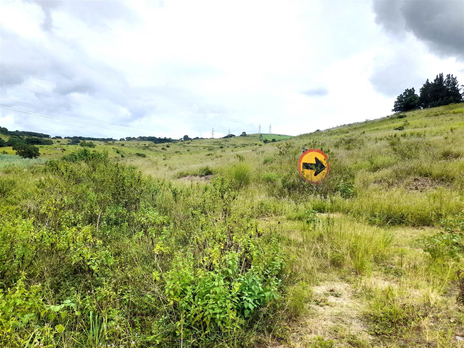 32 ha Land available in Stanger photo number 2