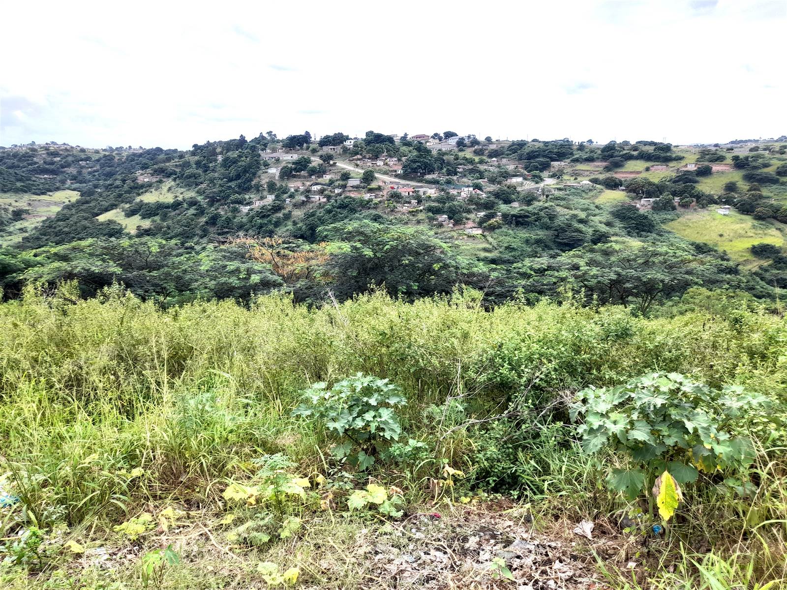32 ha Land available in Stanger photo number 3